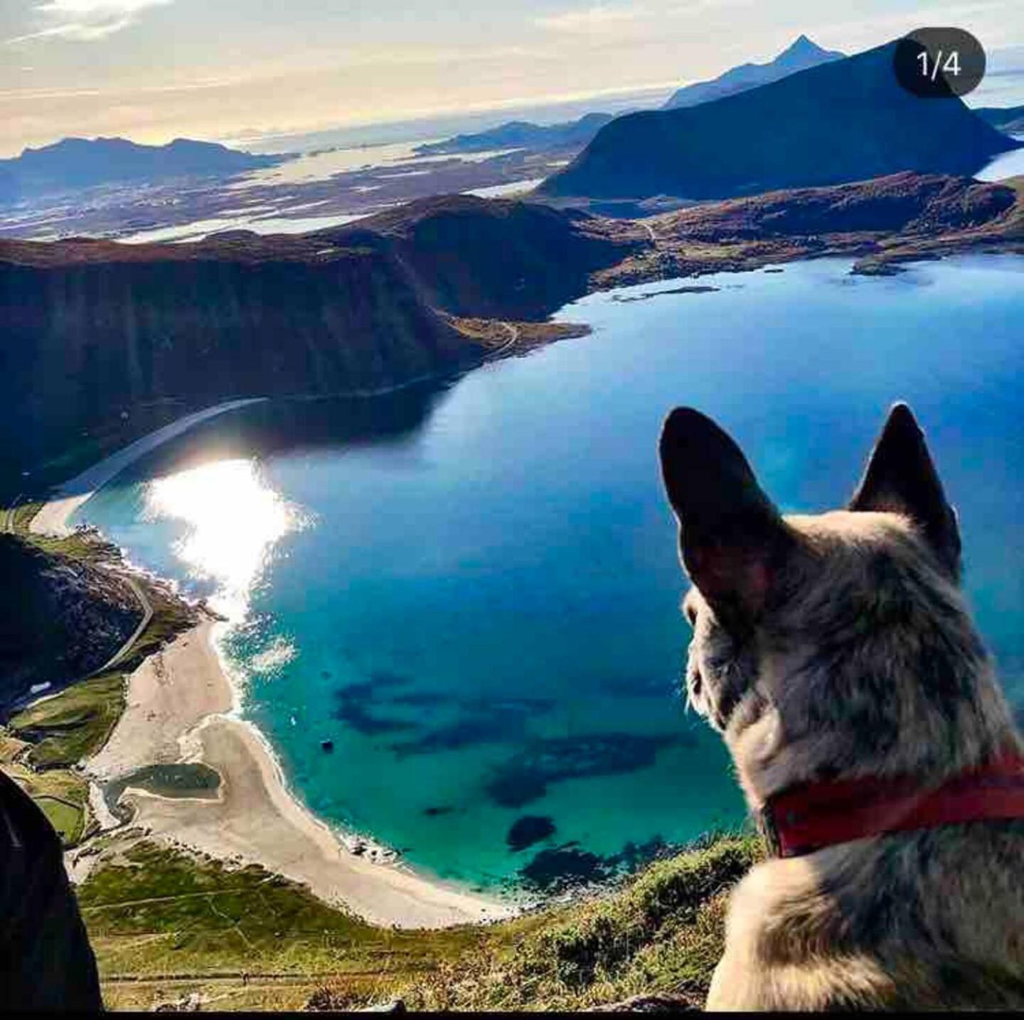 Lofoten Seaview Ballstad Exteriér fotografie