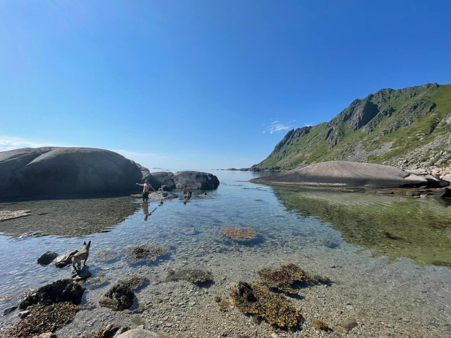 Lofoten Seaview Ballstad Exteriér fotografie